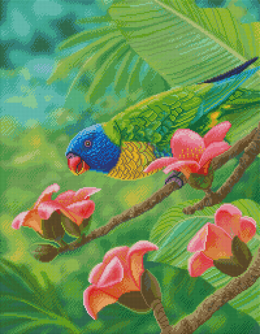 Coconut Lorikeet