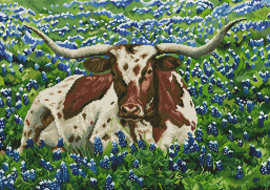 Longhorn in A Field of Blue Dreams