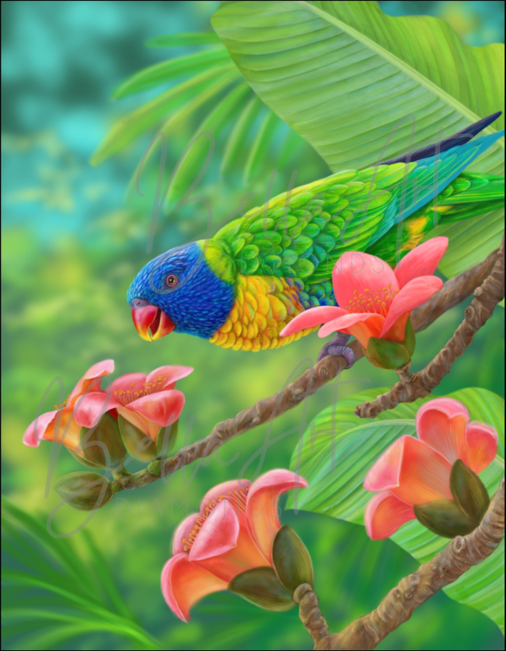Coconut Lorikeet