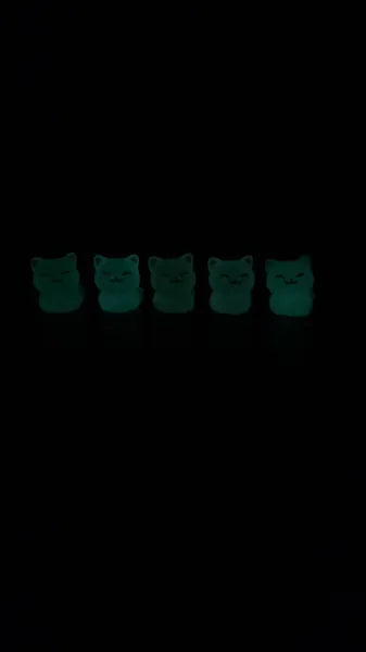 NEW Cute Glow in the Dark Halloween and Cats Coverminders