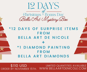 Pre Order 12 Days of Christmas + Bonus Day Bella Art Mystery Box