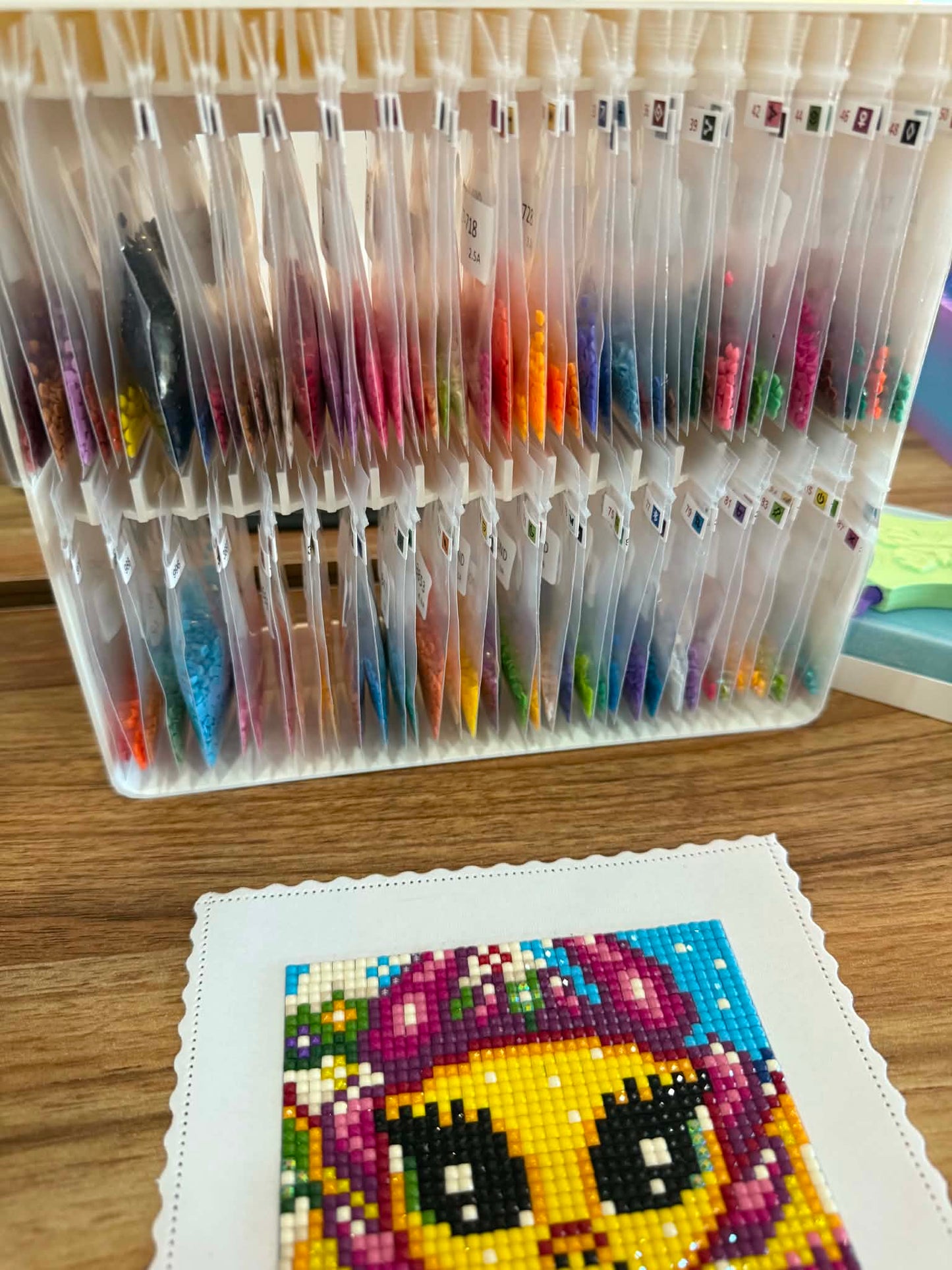 Hanging Bag Organizer for Diamond Painting Drills