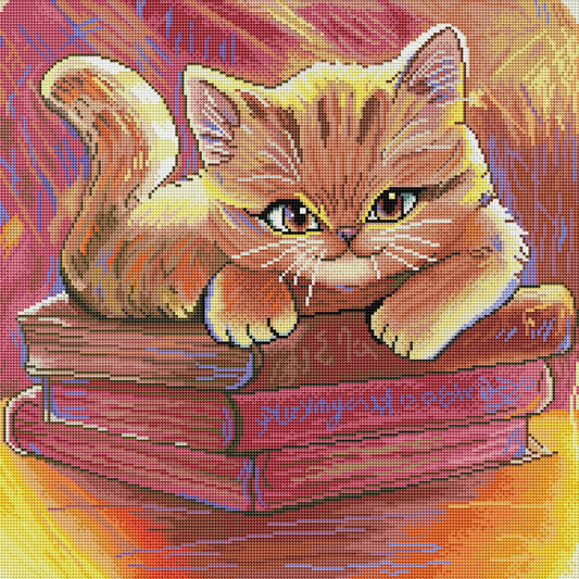 Orange Cat