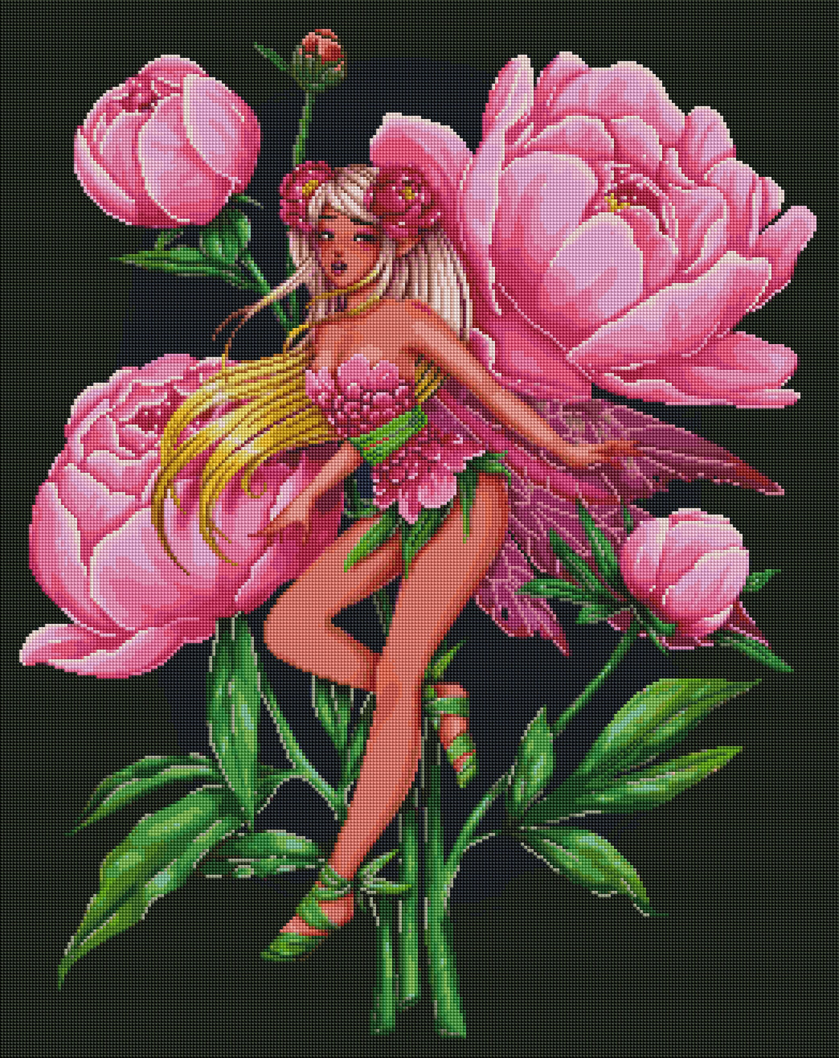 Fairy Peony