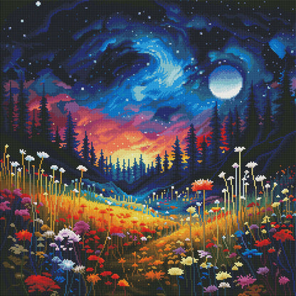 Field Night II