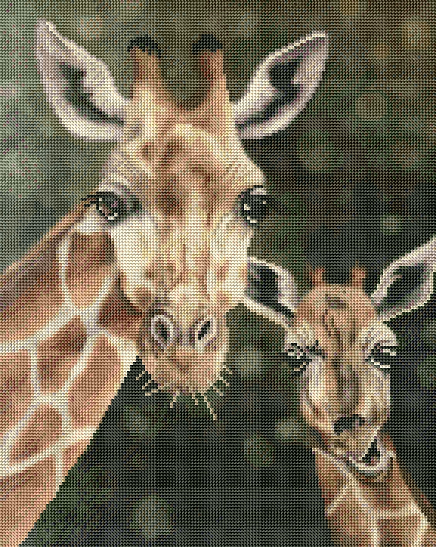 Giraffes