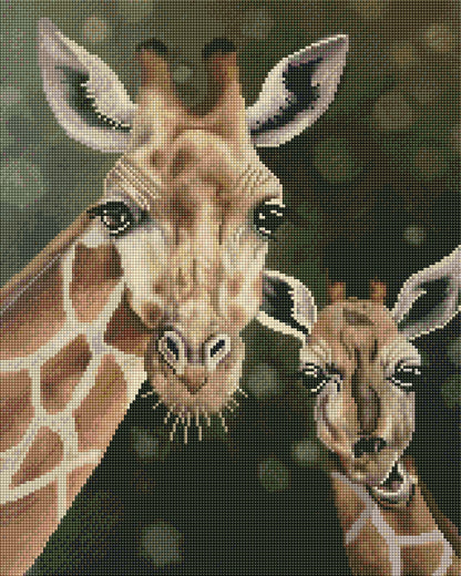 Giraffes