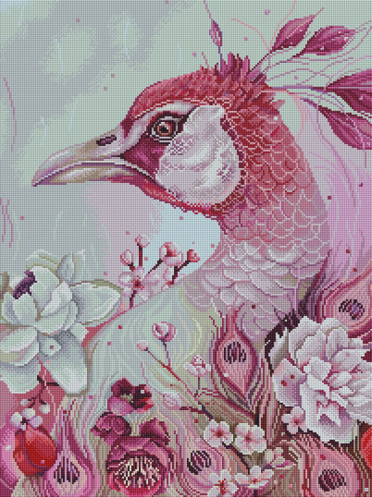 Pink Peacock