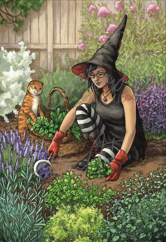 Everyday Witch Oracle - Seasonal Harvest