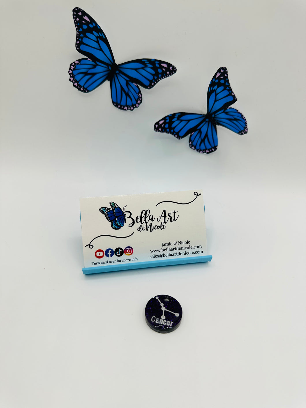 NEW Zodiac Resin Coverminders