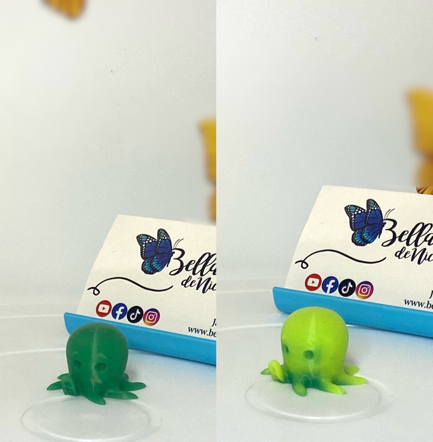 Ocean Coverminders